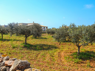 Similar image 7829725