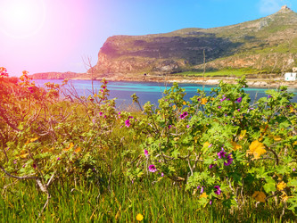 Similar image 7829738