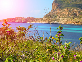 Similar image 7829739