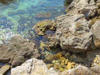 Similar image 7829741