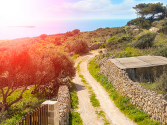 Similar image 7829748