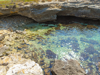 Similar image 7829752