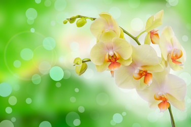 Similar image 7829775