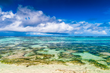 Similar image 7829777