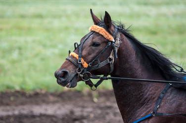 Similar image 7829792