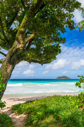 Similar image 7829794