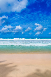 Similar image 7829795