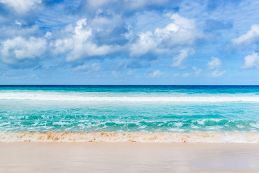 Similar image 7829796