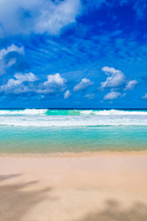 Similar image 7829802