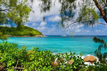 Similar image 7829811