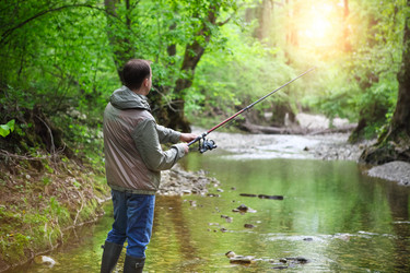 Similar image 7829841