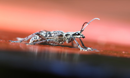 Similar image 7829874