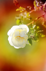 Similar image 7829878