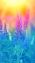 Similar image 7829879