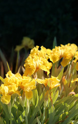 Similar image 7829880