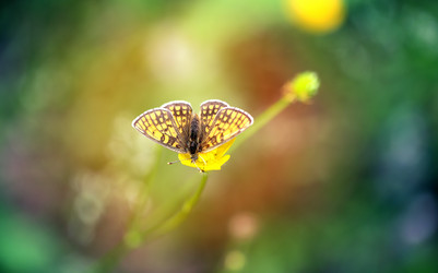 Similar image 7829883