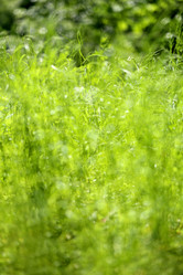 Similar image 7829886