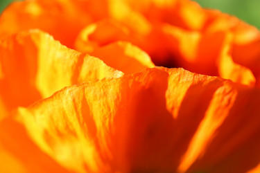 Similar image 7829888