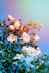 Similar image 7829890