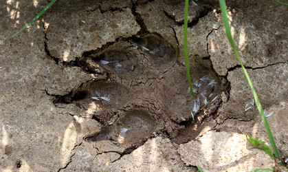 Similar image 7829891