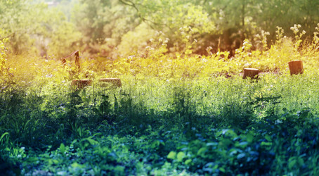 Similar image 7829892