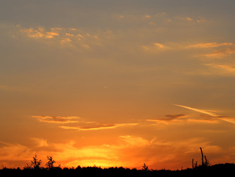 Similar image 7829893