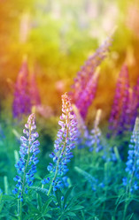 Similar image 7829894