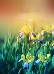 Similar image 7829895