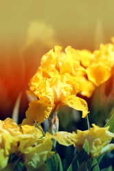 Similar image 7829902