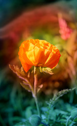 Similar image 7829903