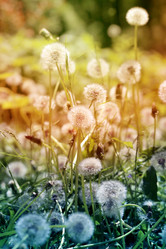 Similar image 7829908