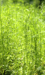 Similar image 7829909