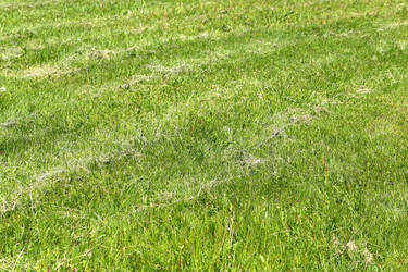 Similar image 7829910