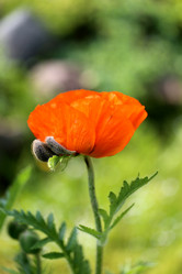 Similar image 7829911