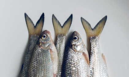 Similar image 7830028