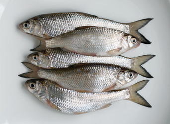 Similar image 7830031