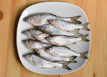 Similar image 7830032