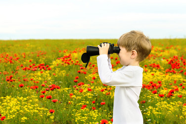 Similar image 7830117