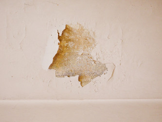 Similar image 7830191