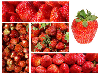 Similar image 7830204