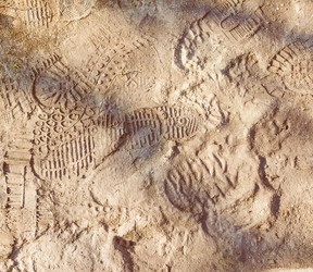 Similar image 7830209