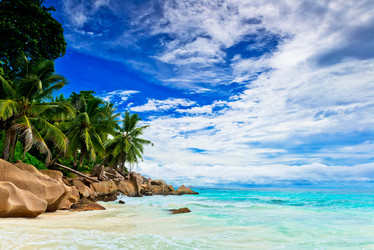 Similar image 7830286