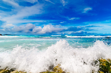 Similar image 7830287