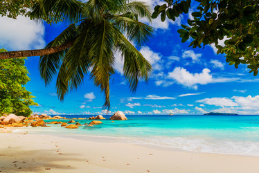 Similar image 7830289