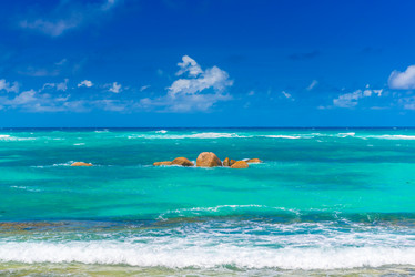 Similar image 7830297