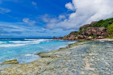 Similar image 7830299