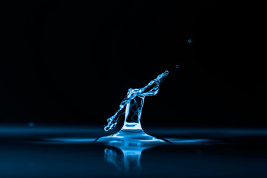 Similar image 7830707