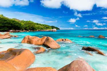 Similar image 7830710