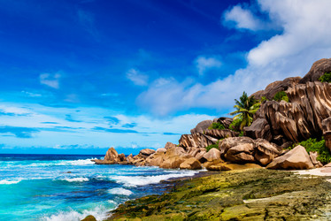 Similar image 7830713