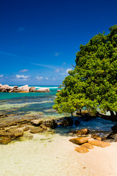 Similar image 7830714